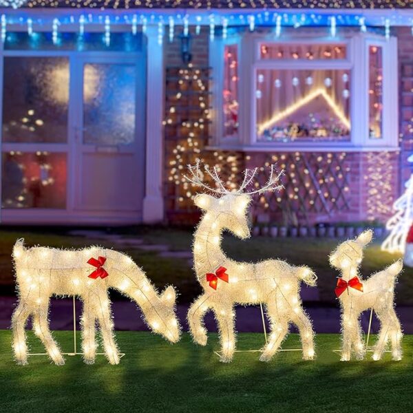 Front Door Backyard Patio Indoor Lighted Holiday Displays